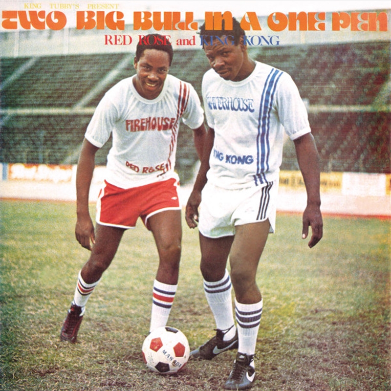 Two Big Bull In A One Pen/Product Detail/Reggae