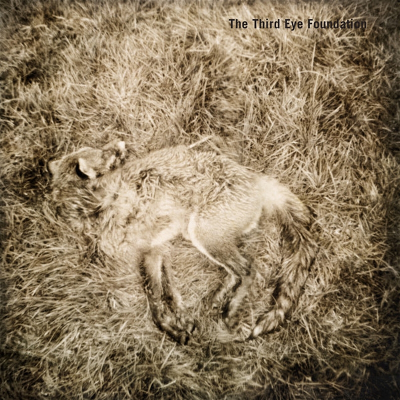 Semtex/Product Detail/Rock/Pop