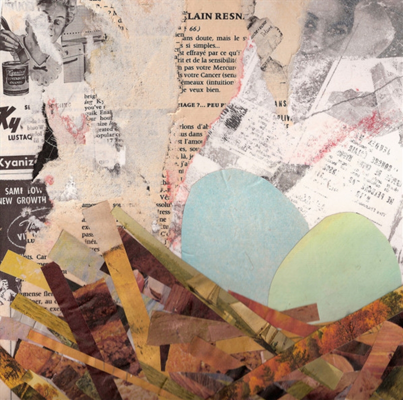 Nests/Product Detail/Rock/Pop