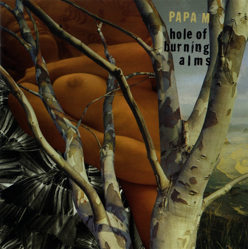 Hole Of Burning Alms/Product Detail/Alternative