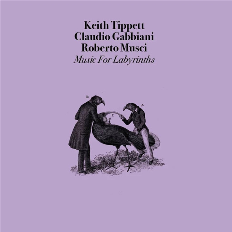 Music For Labyrinths/Product Detail/Rock/Pop