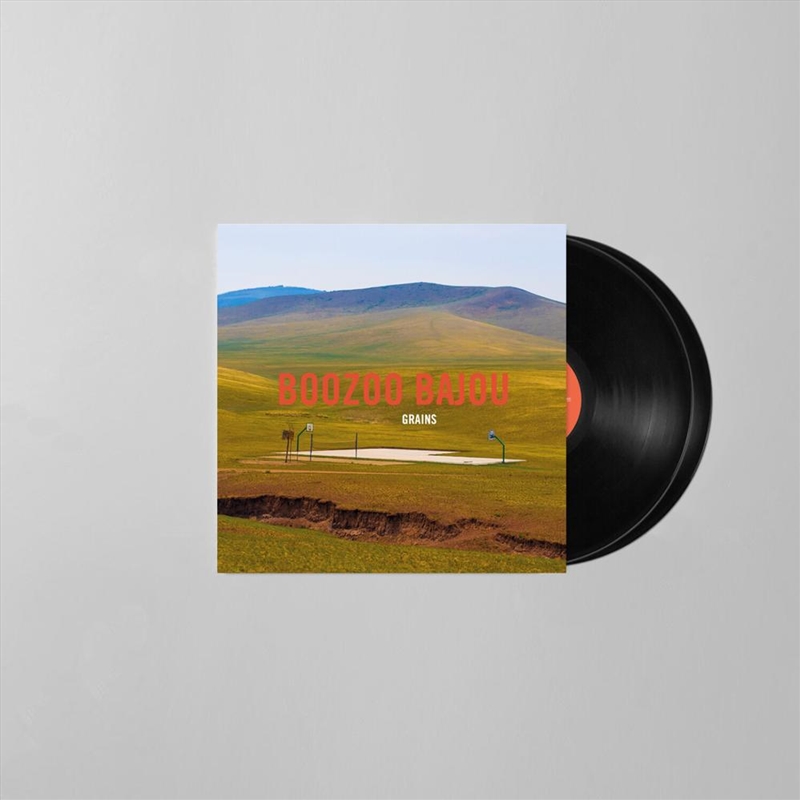 Grains - Ltd 15th Anniversary Vinyl/Product Detail/Dance