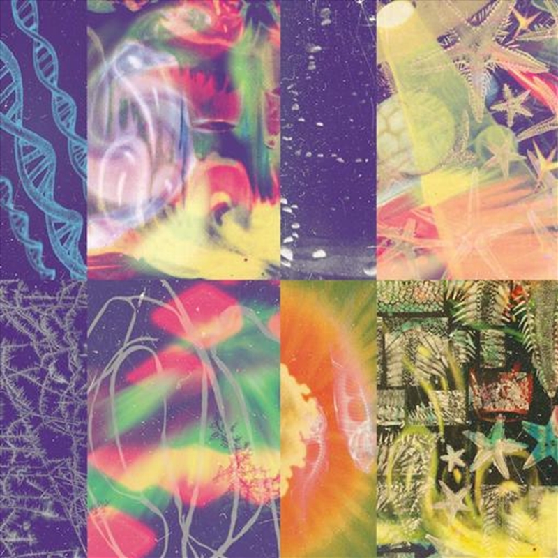 Neon Gate/Product Detail/Alternative