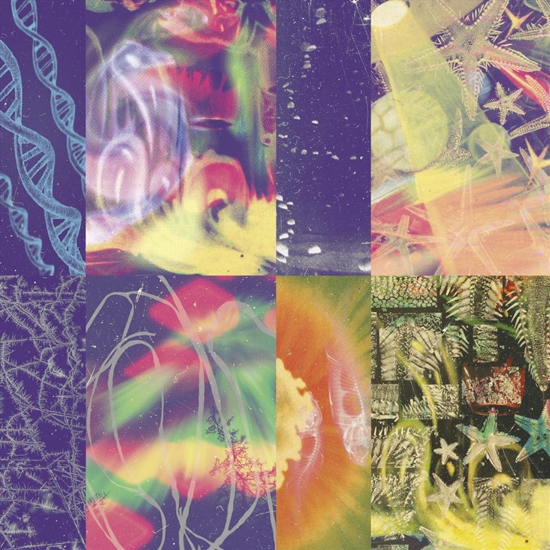 Neon Gate/Product Detail/Alternative