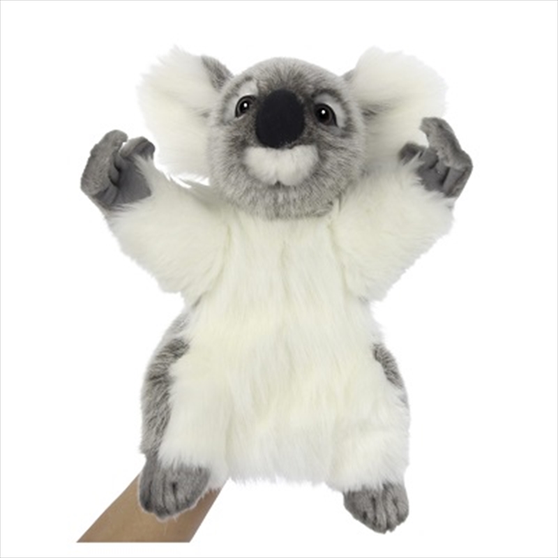 Koala Puppet Kylie 28cm.H/Product Detail/Plush Toys