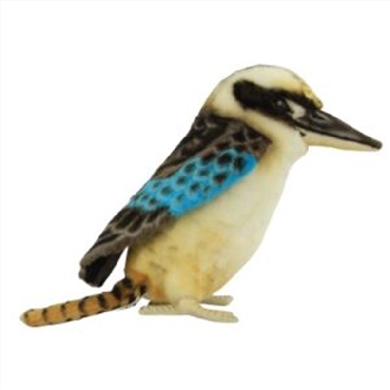 Blue Wing Kookabura 23cm.L/Product Detail/Plush Toys