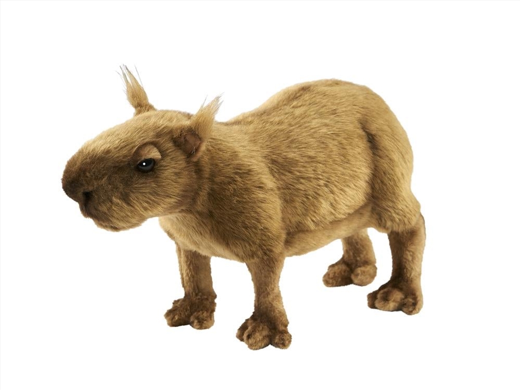 Capybara 33 Cm.L/Product Detail/Plush Toys