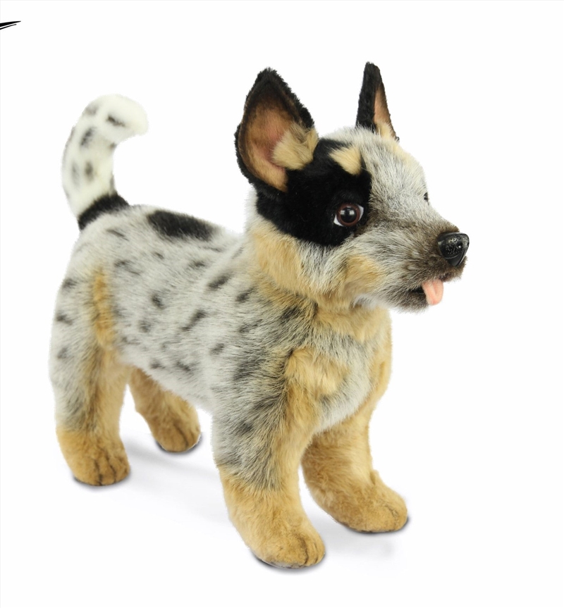 Blue Heeler Puppy Standing 41cm/Product Detail/Plush Toys