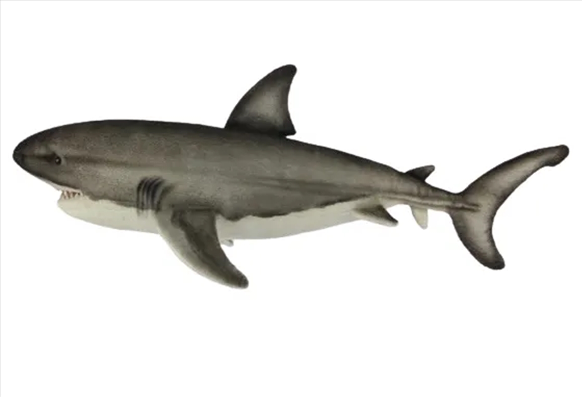 Great White Shark 50cm L/Product Detail/Plush Toys