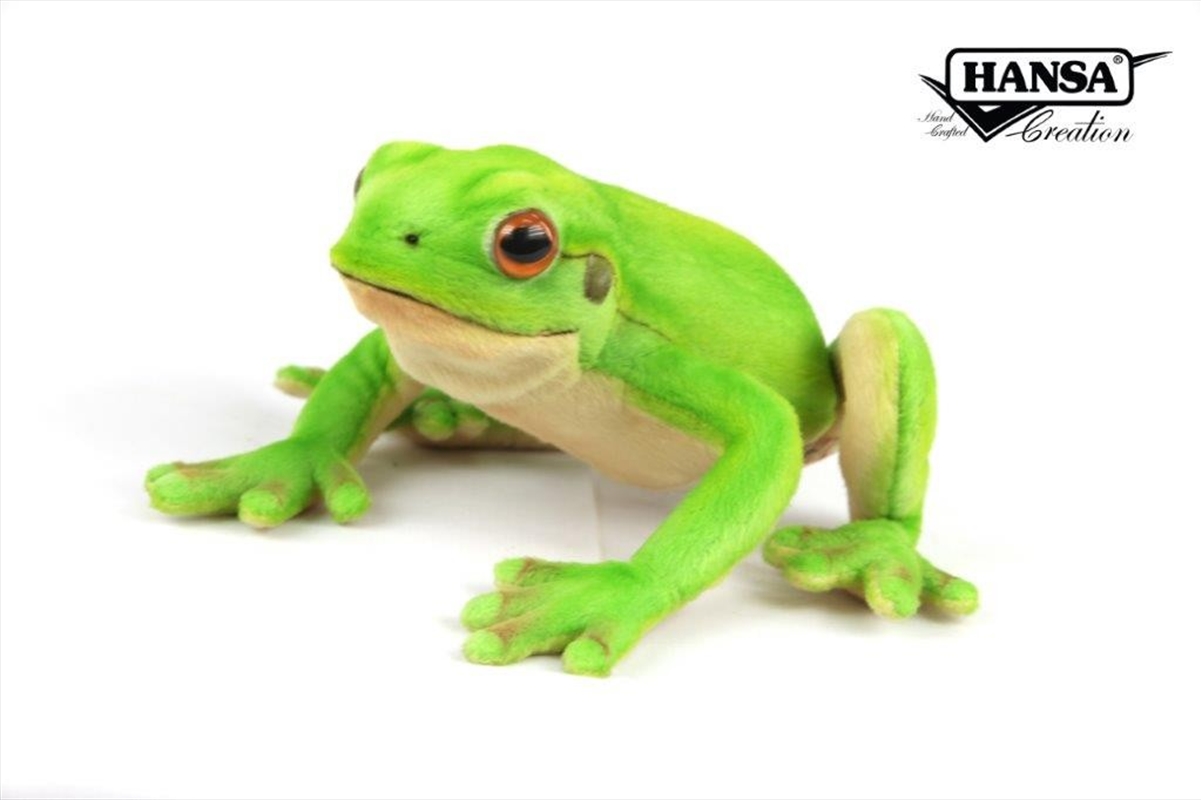 Green Tree Frog 22cm W/Product Detail/Plush Toys