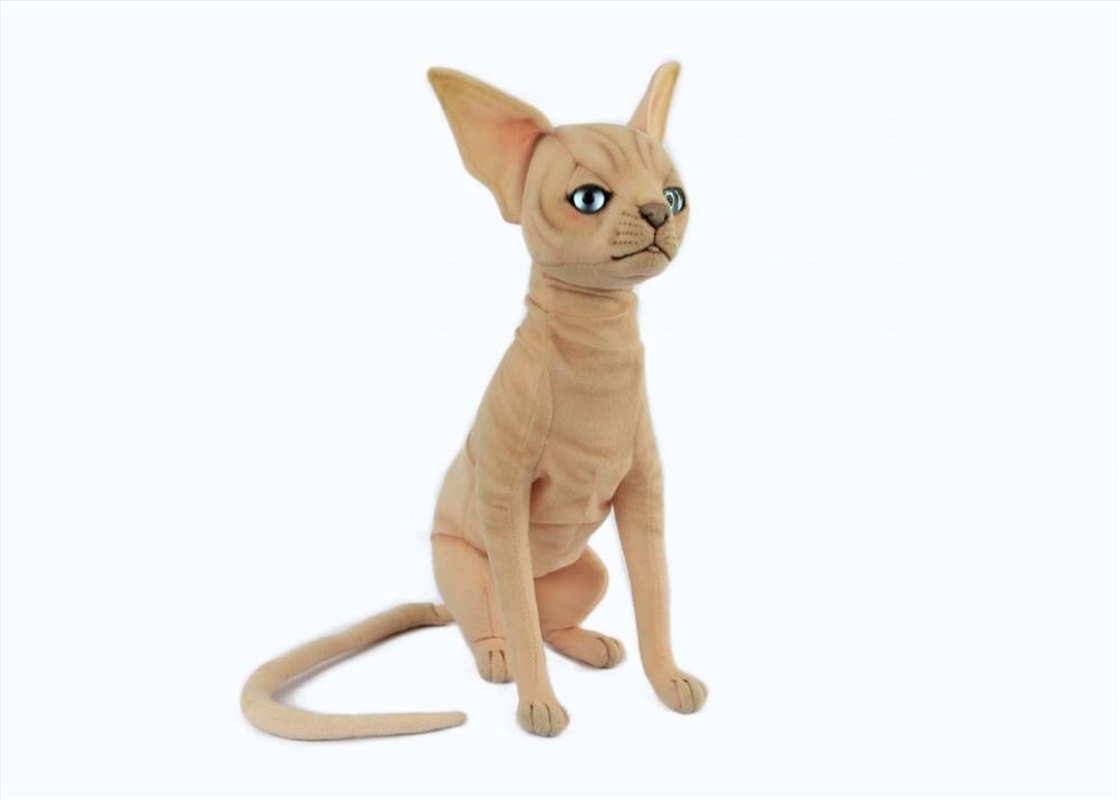 Sphynx Cat Sitting 33cm H/Product Detail/Plush Toys