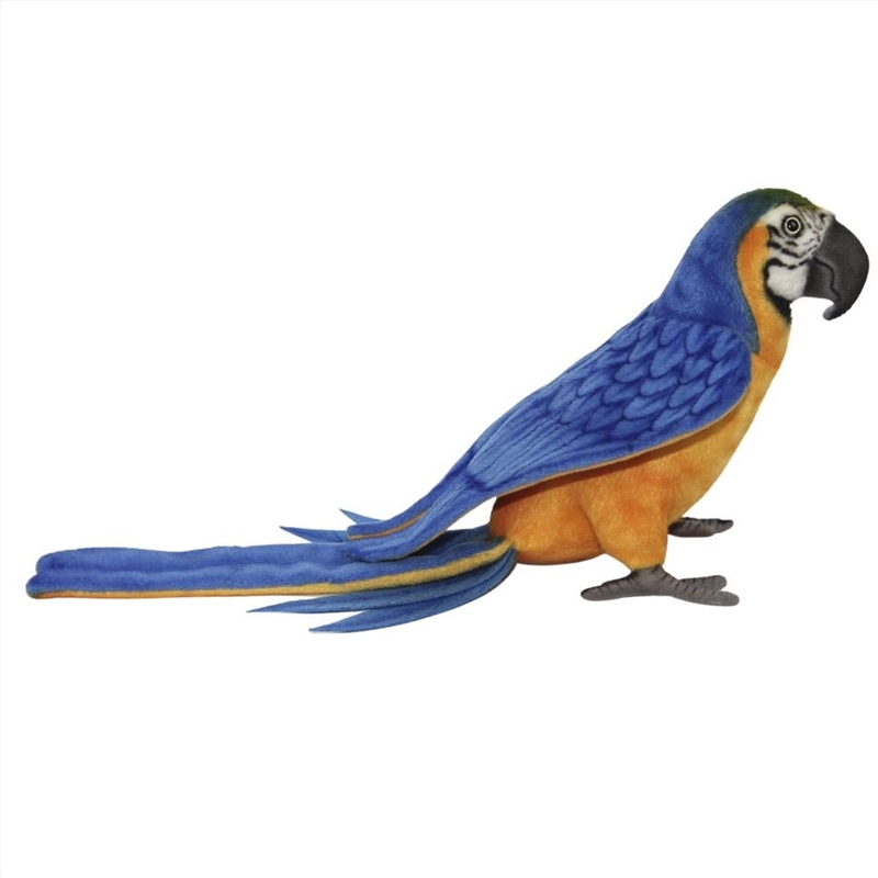 Macaw Blue/Yellow 40cm.L/Product Detail/Plush Toys