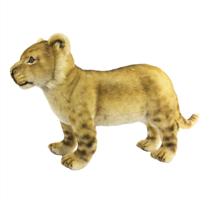 Lion Standing 70cm.L/Product Detail/Plush Toys