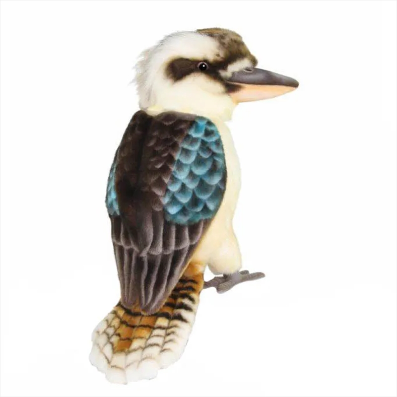 Laughing Kookaburra 34cm H/Product Detail/Plush Toys
