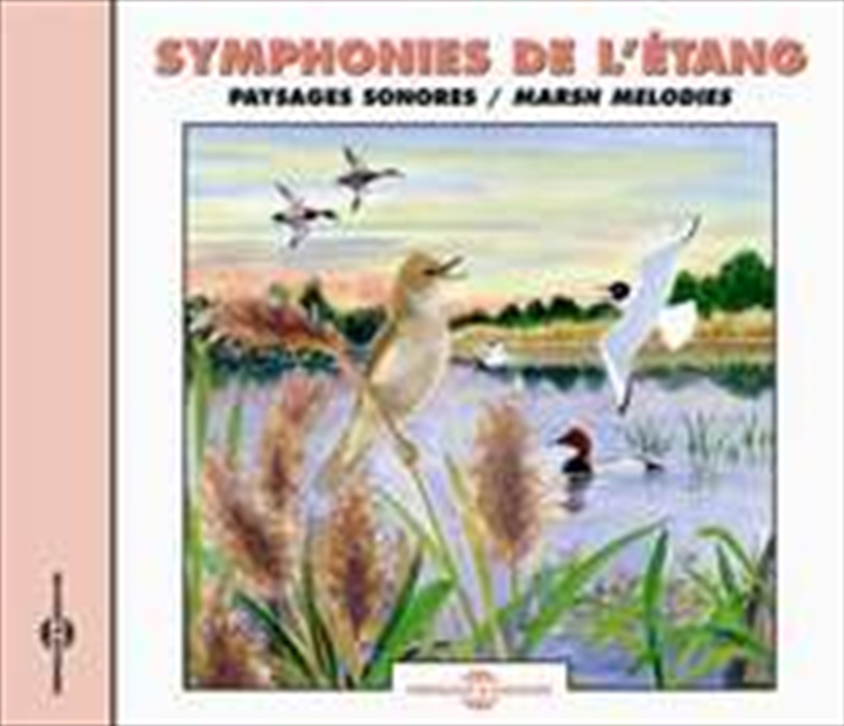 Marsh Melodies Natural Soundscape (Import)/Product Detail/Instrumental