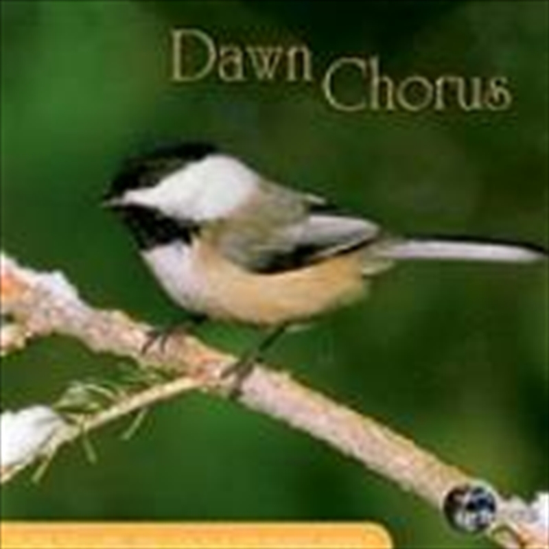 Dawn Chorus/Product Detail/Specialist