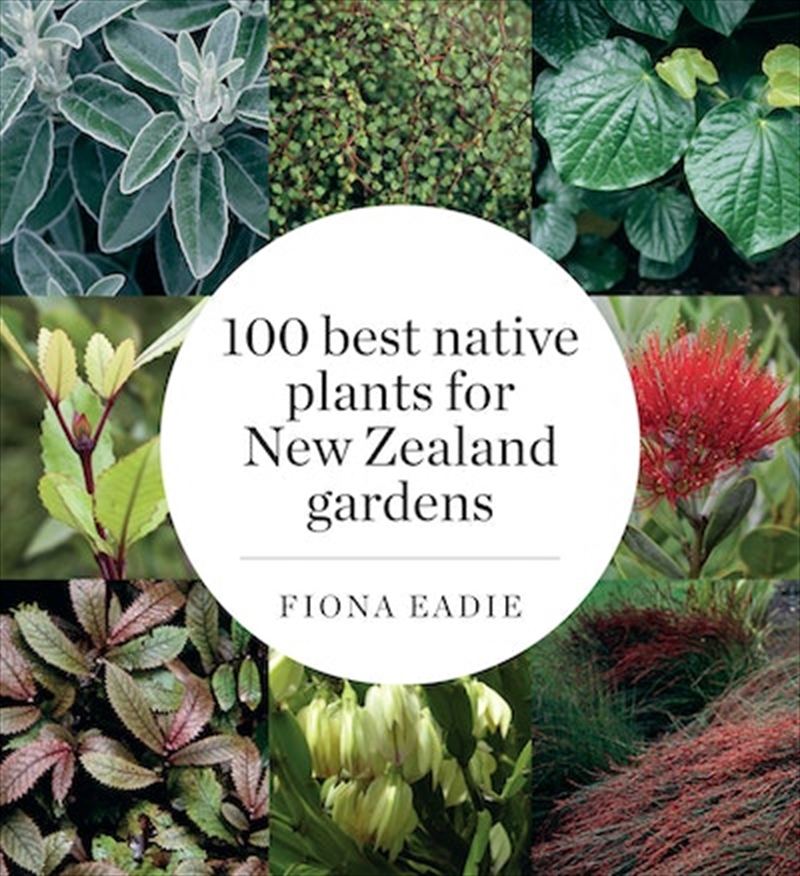 100 Best Native Plants for New Zealand Gardens (Revised Edition)/Product Detail/House and Home Design