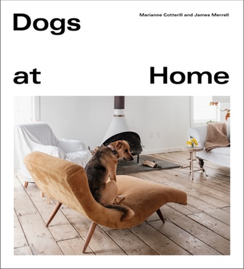 Dogs at Home/Product Detail/Animals & Nature