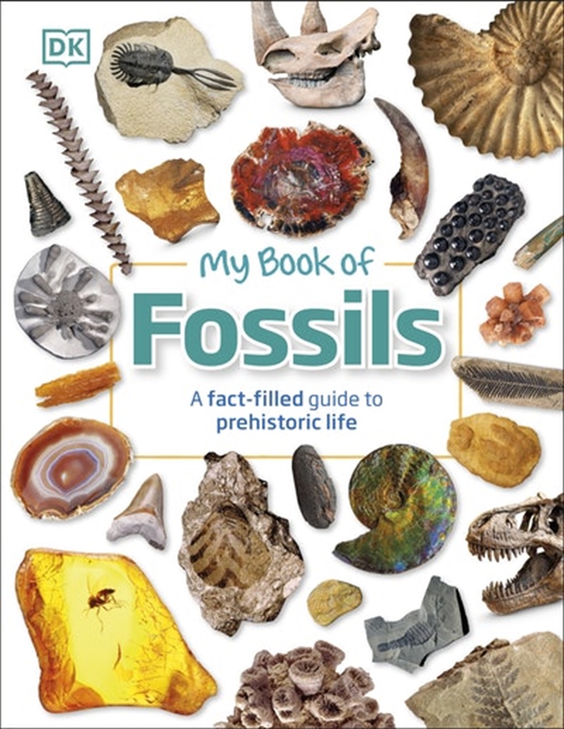 My Book of Fossils/Product Detail/Society & Culture
