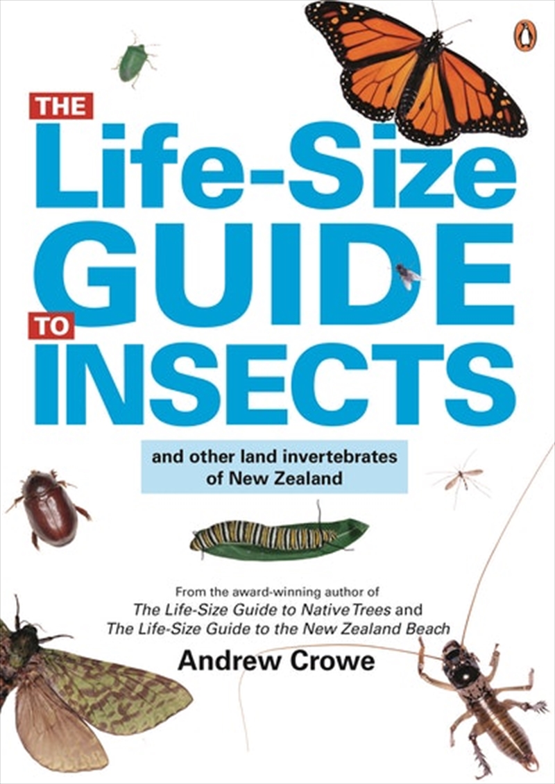 Life-Size Guide to Insects/Product Detail/Animals & Nature