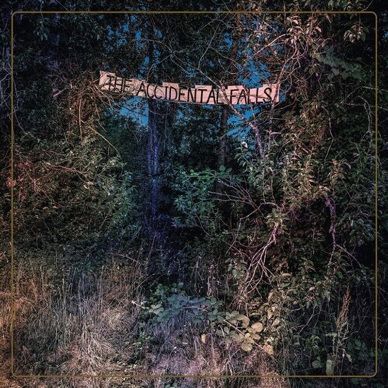 Accidental Falls The/Product Detail/Rock/Pop