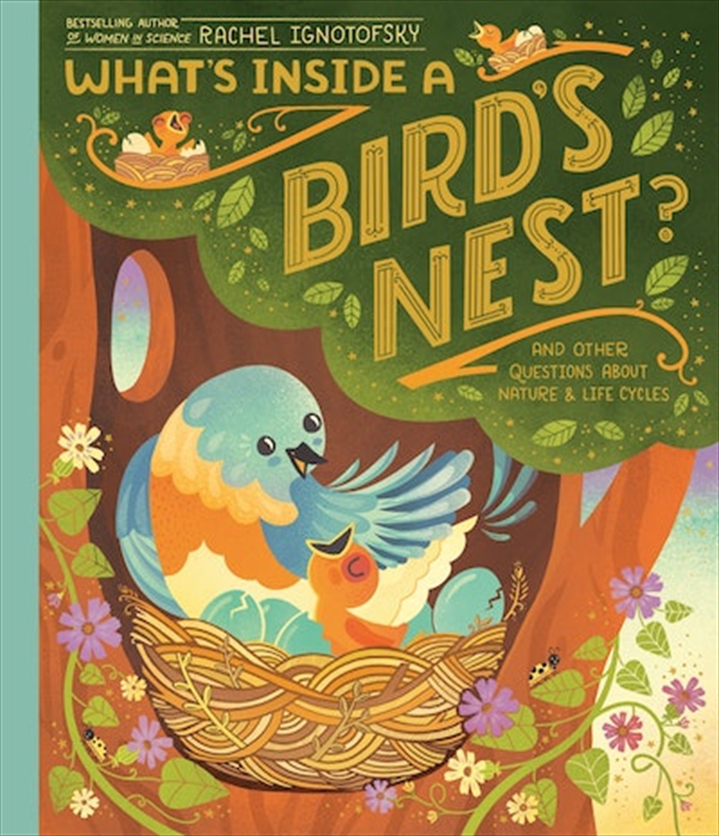What's Inside A Bird's Nest?/Product Detail/Childrens