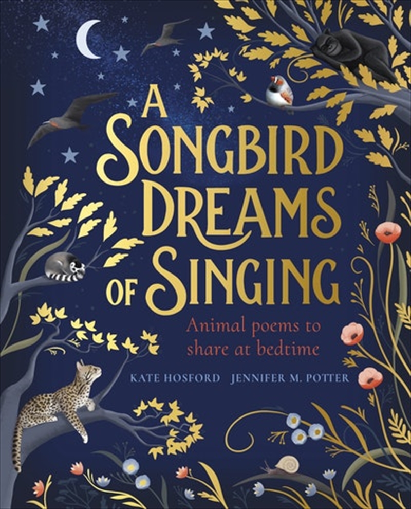 Songbird Dreams Of Singing/Product Detail/Childrens
