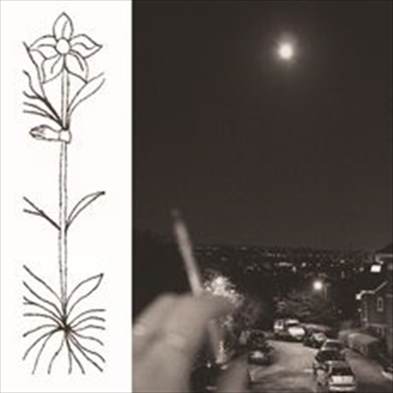 A Soft And Gatherable Star/Product Detail/Dance