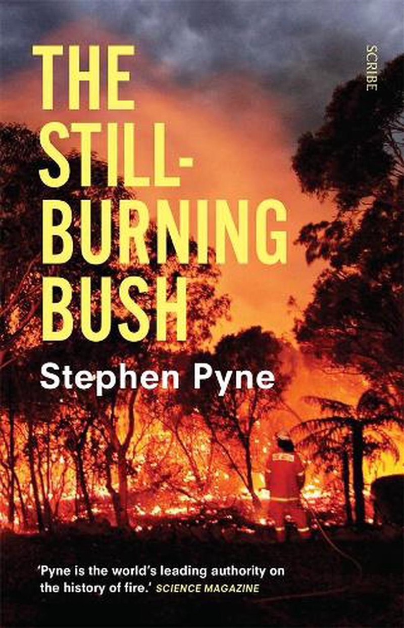 Still-Burning Bush Updated Edition/Product Detail/Society & Culture