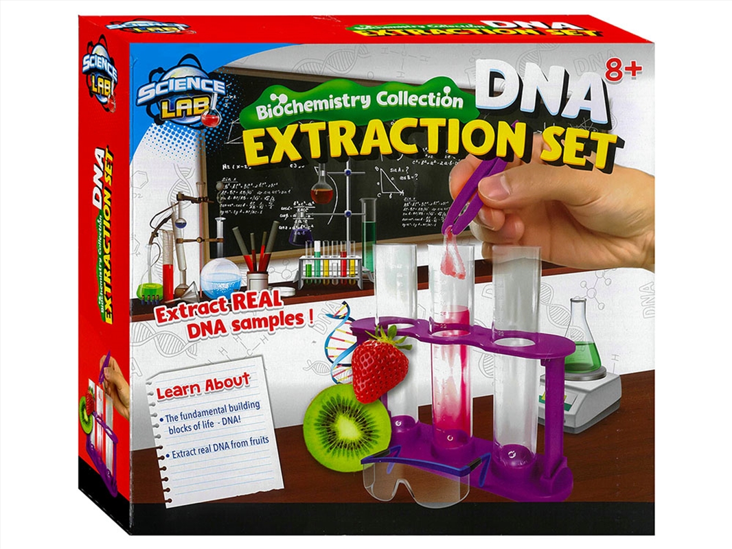 Science Lab Dna Extraction Kit/Product Detail/Arts & Craft