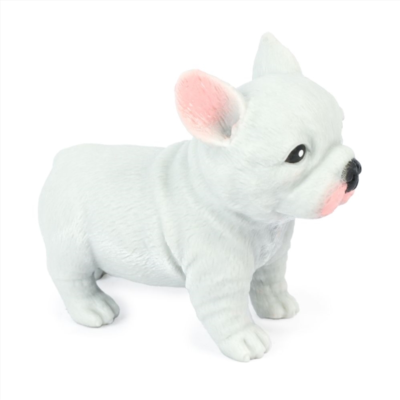 Cute Squidgy French Bulldog/Product Detail/Toys