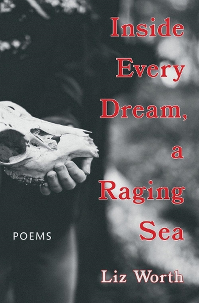 Inside Every Dream, A Raging Sea/Product Detail/Reading