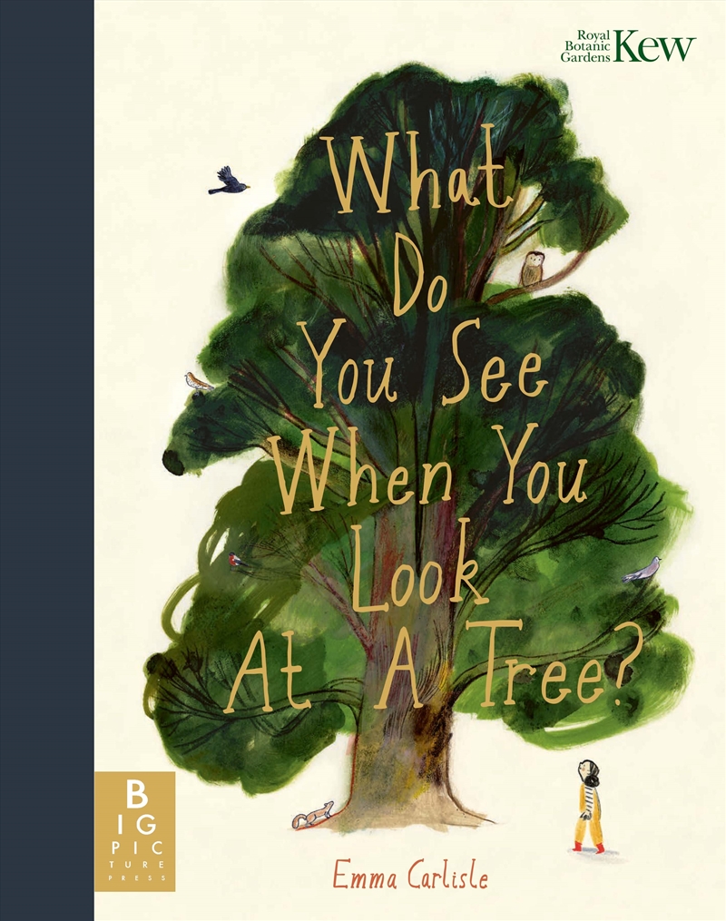 What Do You See When You Look At a Tree?/Product Detail/Early Childhood Fiction Books