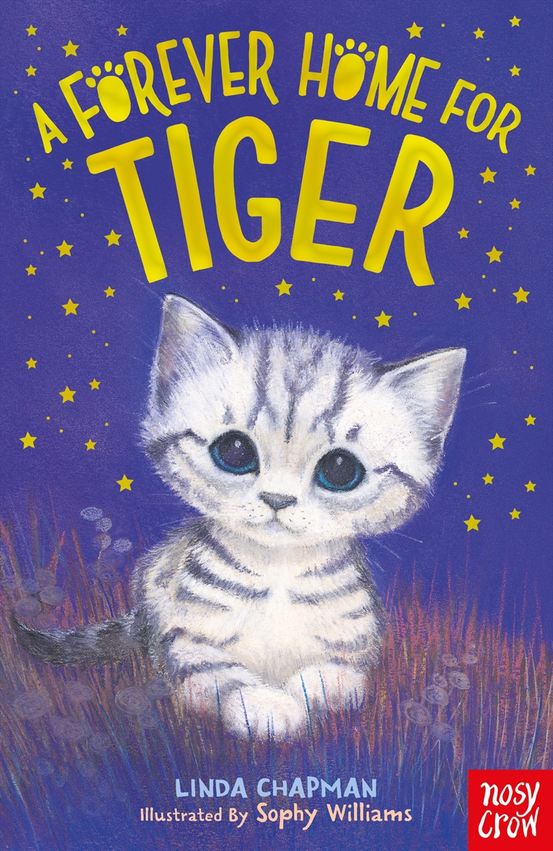 A Forever Home For Tiger/Product Detail/Childrens Fiction Books