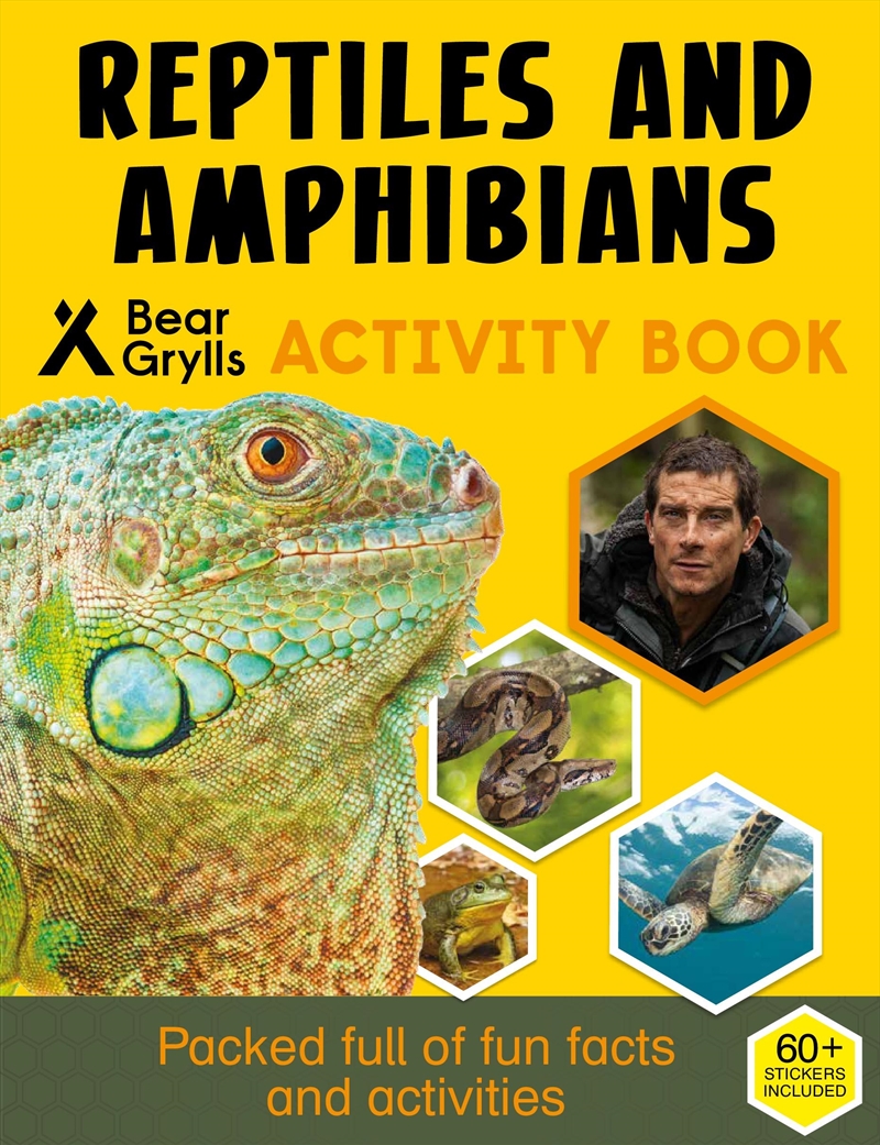 Reptiles & Amphibians (Bear Grylls Sticker Activity)/Product Detail/Early Childhood Fiction Books