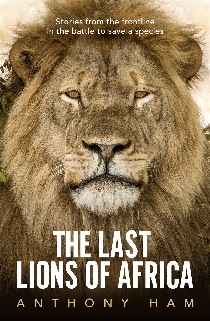 The Last Lions Of Africa/Product Detail/Animals & Nature