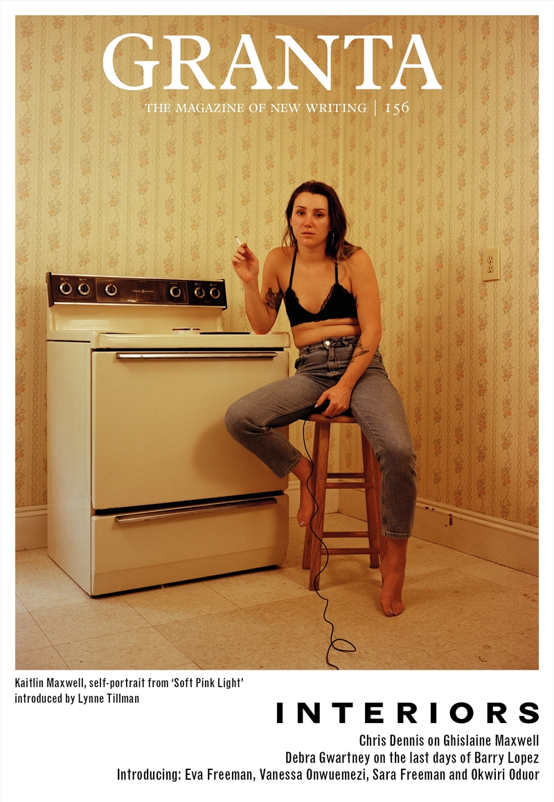 Granta 156: Interiors/Product Detail/Literature & Poetry