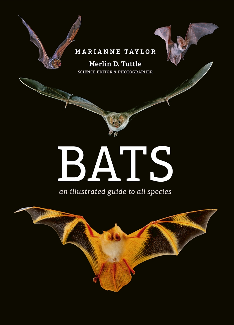 Bats/Product Detail/Animals & Nature