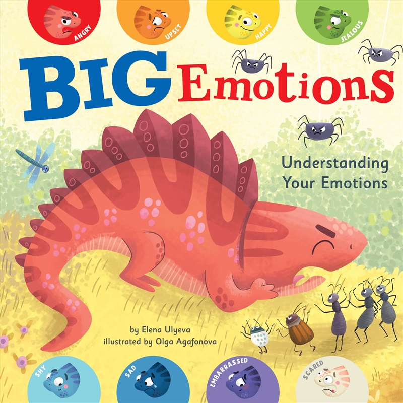 Big Emotions (Clever Emotions)/Product Detail/Early Childhood Fiction Books
