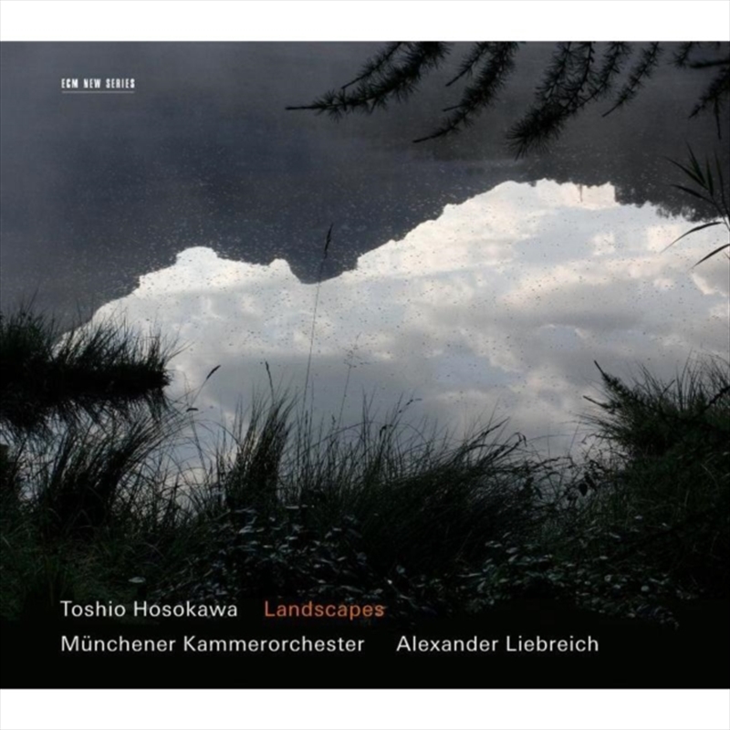 Hosokawa Landscapes/Product Detail/Jazz