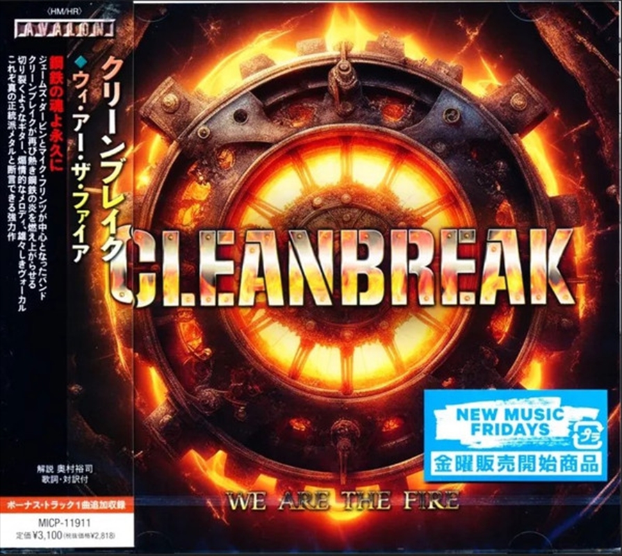 We Are The Fire/Product Detail/Rock/Pop