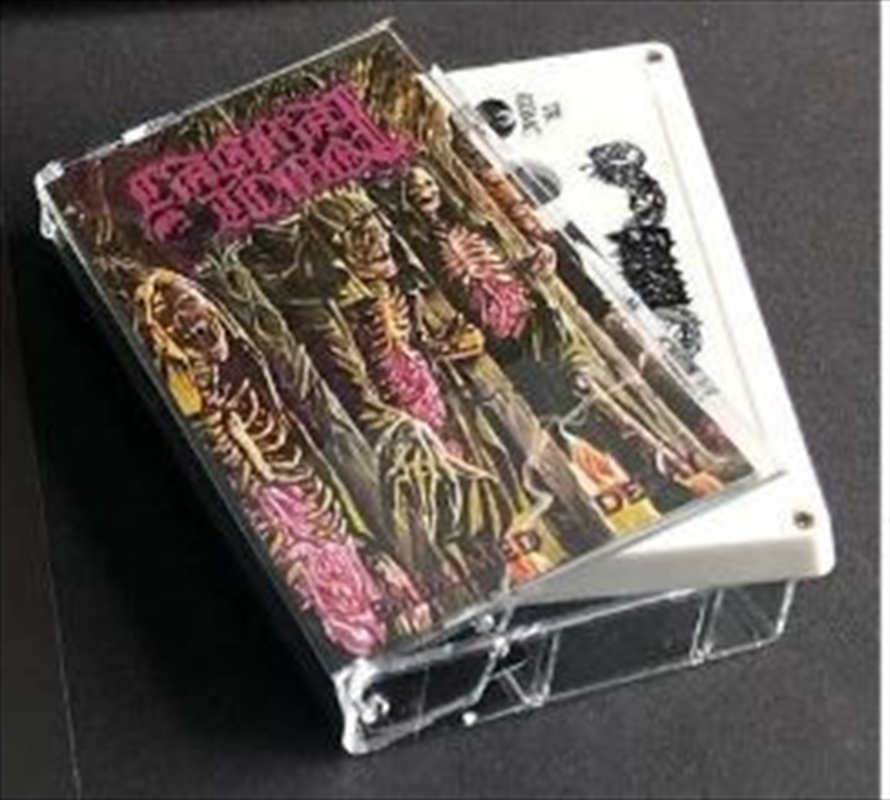 Embalmed In Decay - White Vinyl/Product Detail/Metal