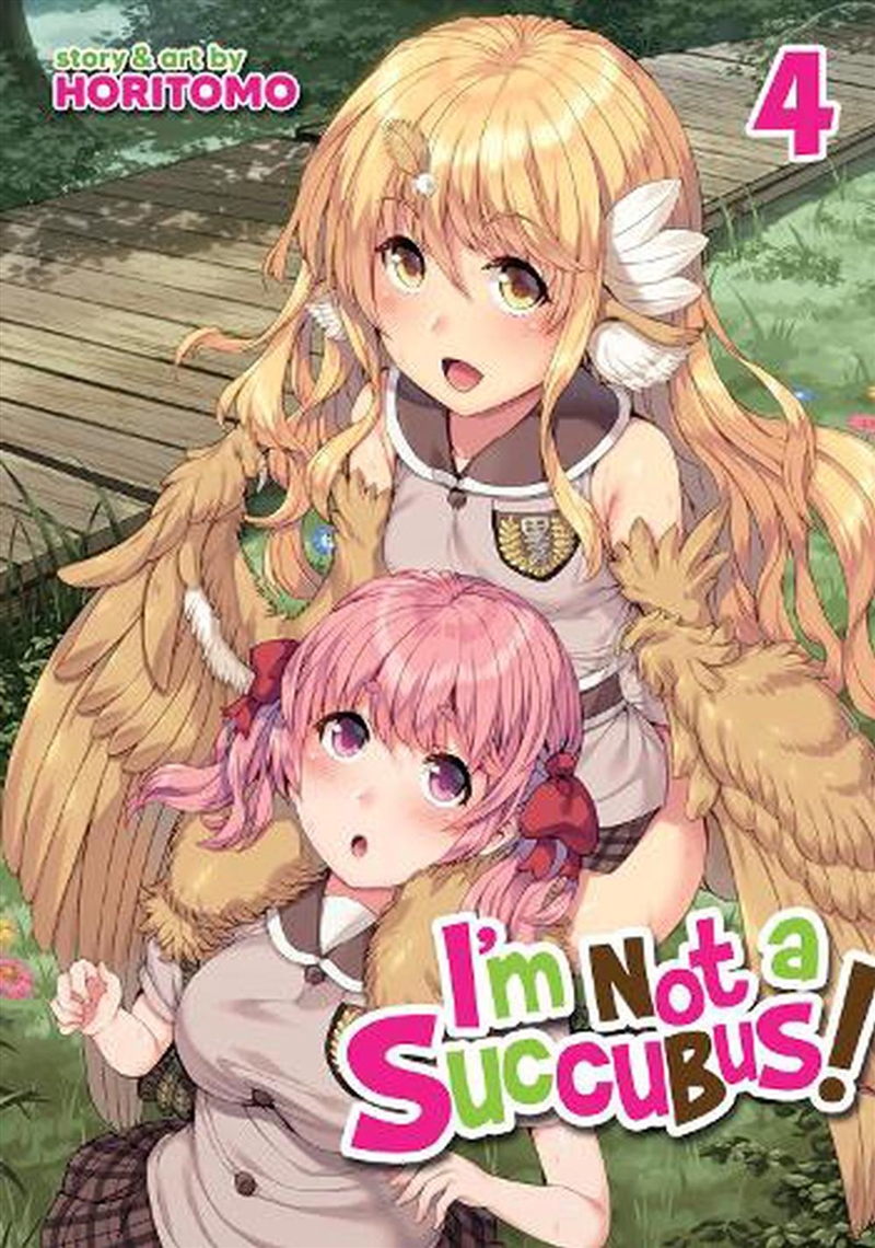 Im Not A Succubus Vol 4/Product Detail/Graphic Novels