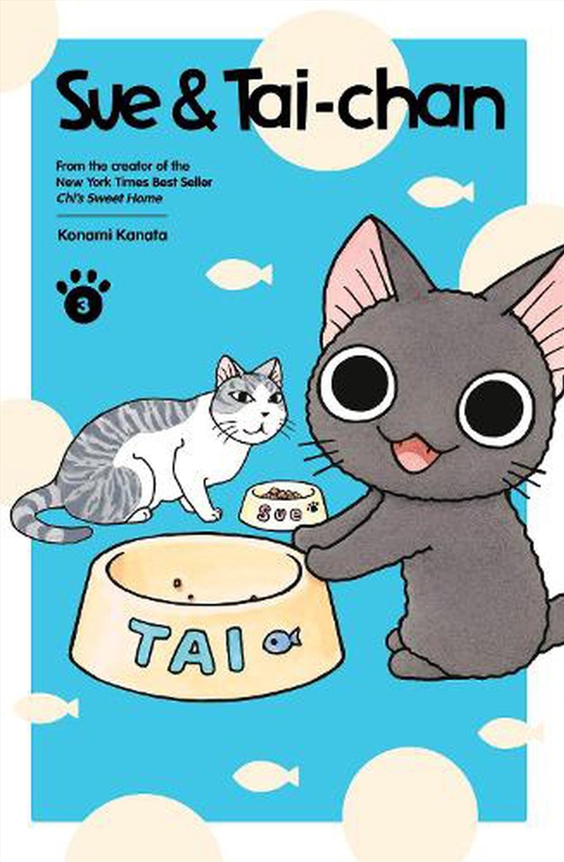Sue Taichan 3/Product Detail/Graphic Novels