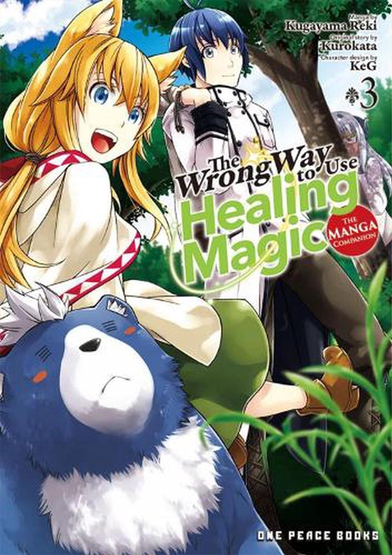 Wrong Way To Use Healing Magic Volume 3/Product Detail/Graphic Novels