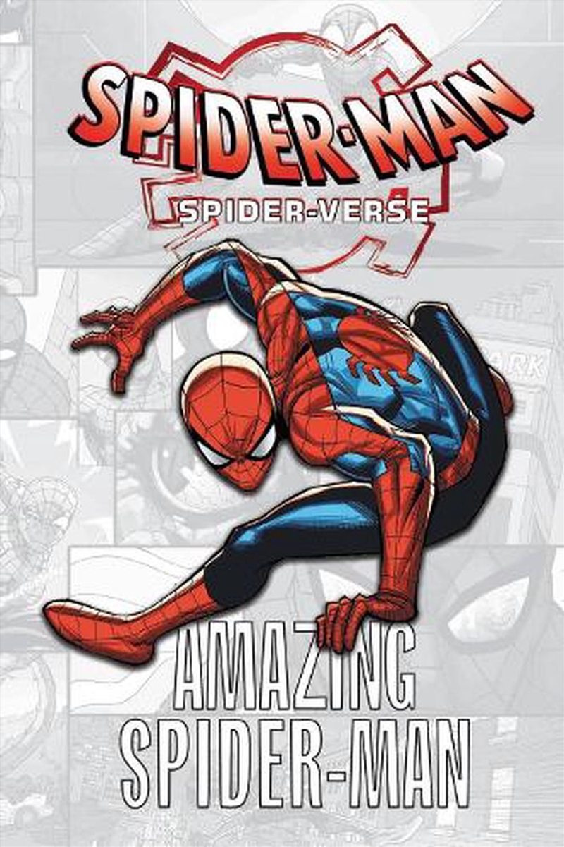 Spider Verse Amazing Spider Man/Product Detail/Graphic Novels