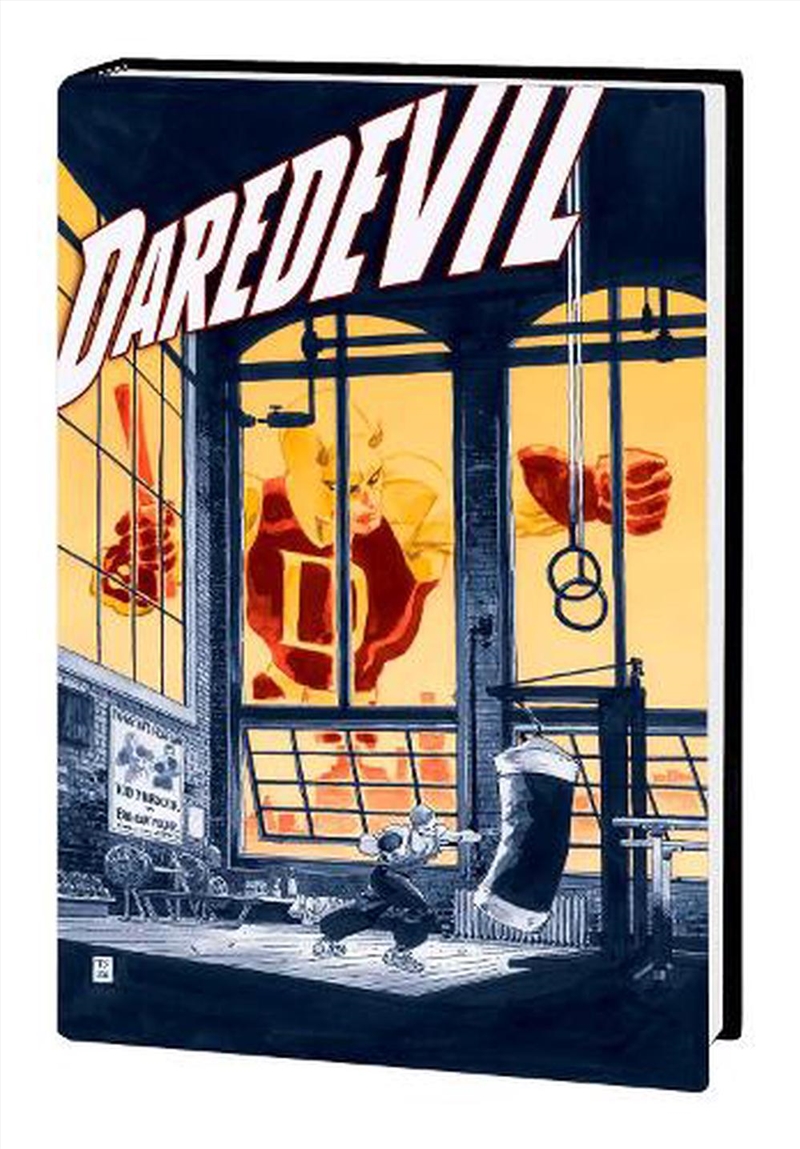Jeph Loeb Tim Sale Daredevil/Product Detail/Graphic Novels