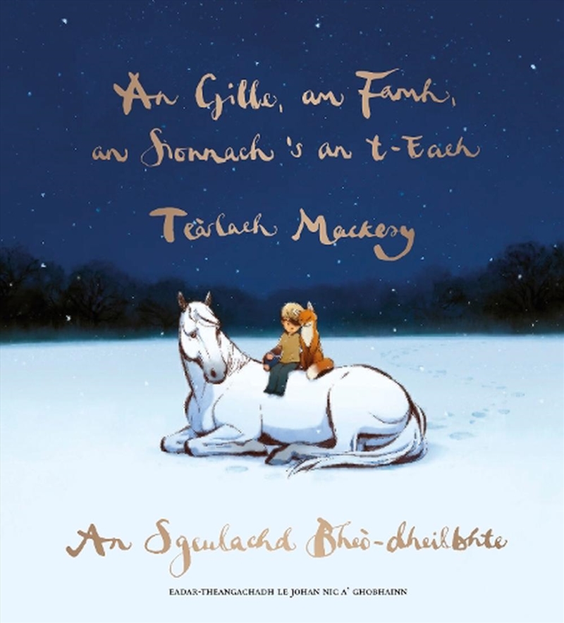 Gille Am Famh An Sionnach S An Teach/Product Detail/Graphic Novels