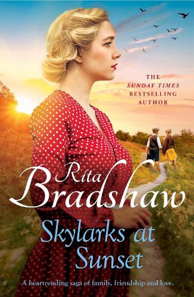 Skylarks At Sunset/Product Detail/Historical Fiction