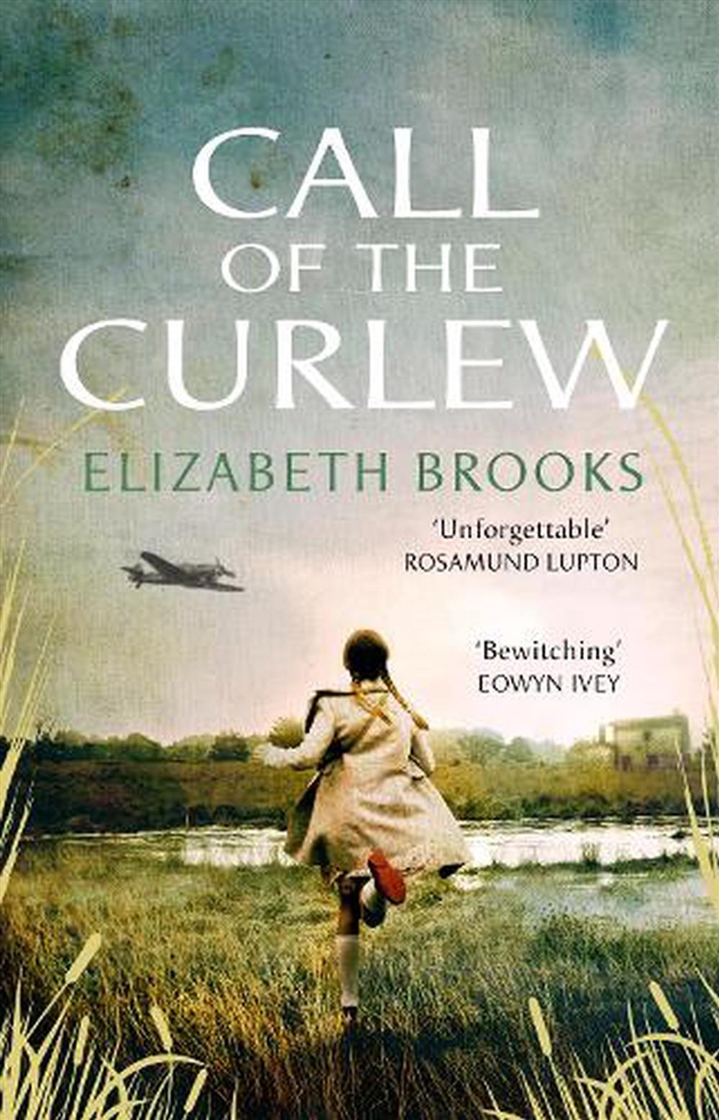 Call Of The Curlew/Product Detail/Historical Fiction